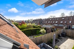 Scholekster 41_36.jpg